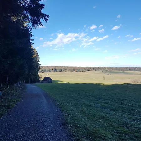 Im Schwarzwald Oberwiesenhof * Seewald
