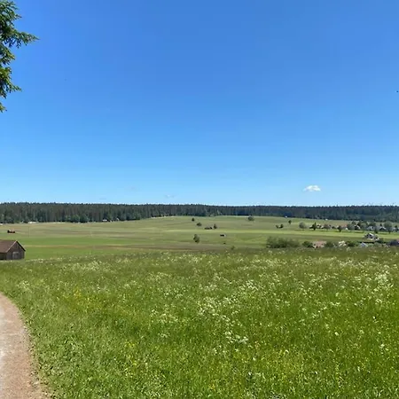 Im Schwarzwald Oberwiesenhof *