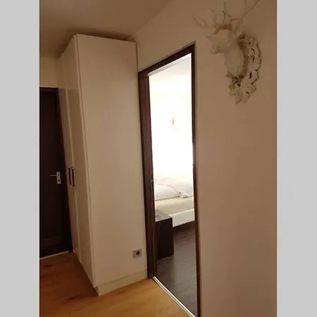 Im Schwarzwald Oberwiesenhof *