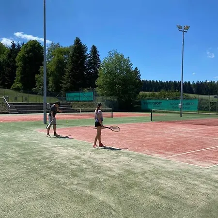 Apartamento Im Schwarzwald Oberwiesenhof